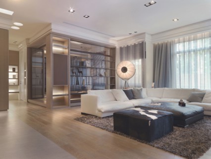 Living room with shag carpet in modern home