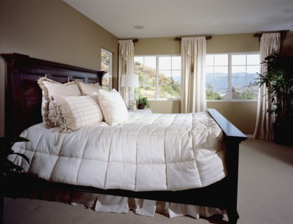 Master bedroom with large bed