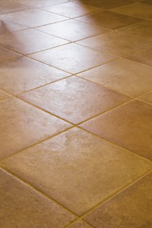 Detail of Tile Floor