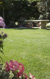 Stone Bench in Yard with Garden