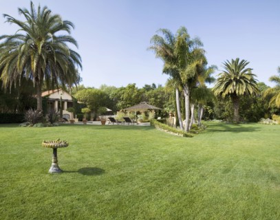 Birdbath in yard