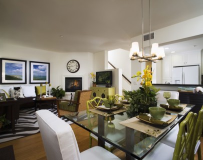 Dining Room and Living Room with Jungle Theme