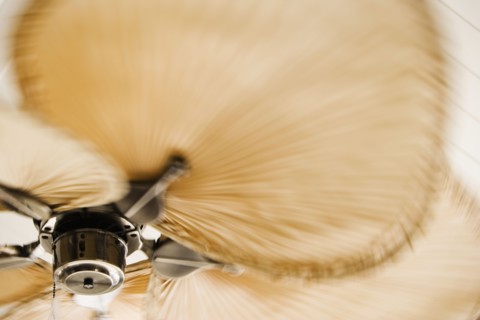 Contemporary Ceiling Fan