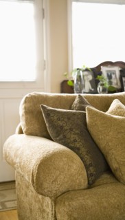 Traditional Couch and Pillows