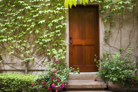 Detail of wooden door next to wall with ivy.