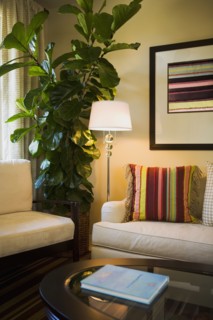 Sitting area with couches and a coffee table