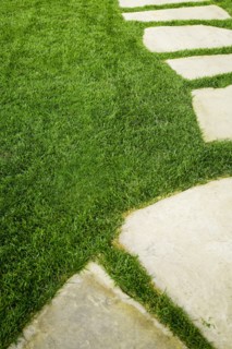 Stone stepping stone in the grass