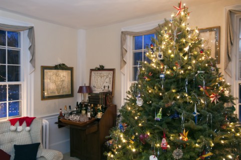 Illuminated Christmas tree in domestic room