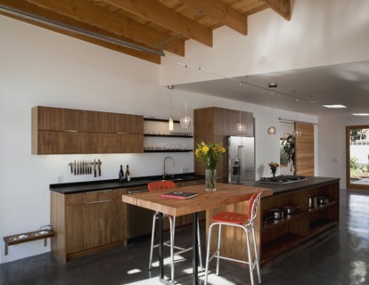 Modern kitchen in eco friendly home