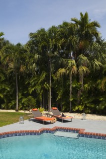 Deck chairs near swimming pool in backyard