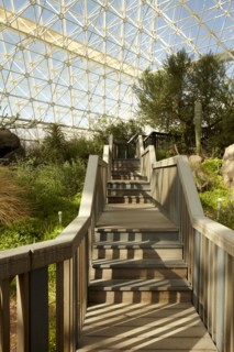 Walkway and plants in greenhouse