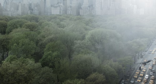 Urban park