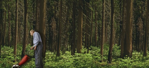 Caucasian man vacuuming forest floor