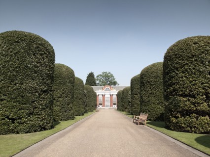 Manicured hedges on ornate driveway