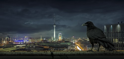 Crow overlooking cityscape