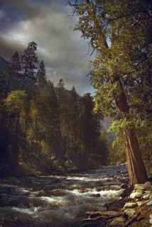 Trees and hillside by rural river