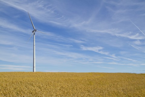 Wind turbine in rural landscape