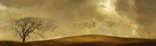 Birds flying to bare tree in rural landscape