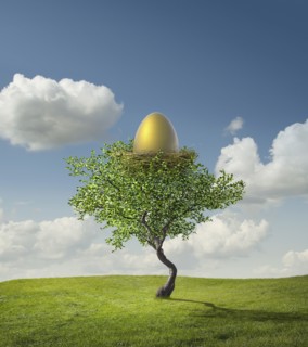 Golden egg in bird's nest