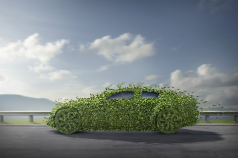 Car covered in growing plants