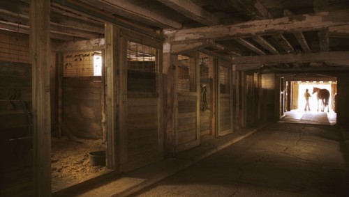 Horse barn
