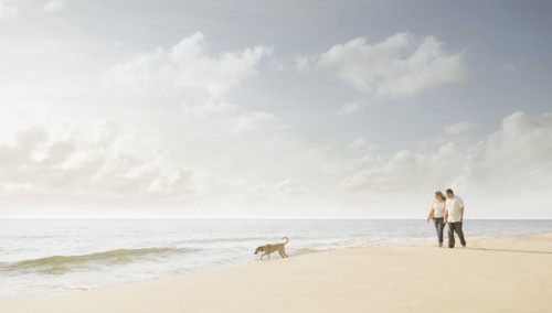 Caucasian couple walking dog on beach