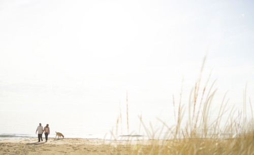 Caucasian couple walking dog on beach