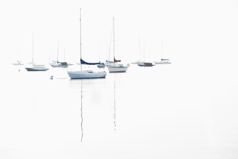 Boat masts reflecting in water