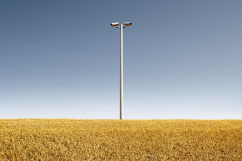 Low angle view of security cameras in crop field
