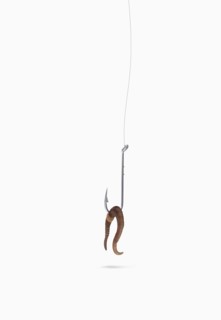 Close up of worm bait on fishing hook
