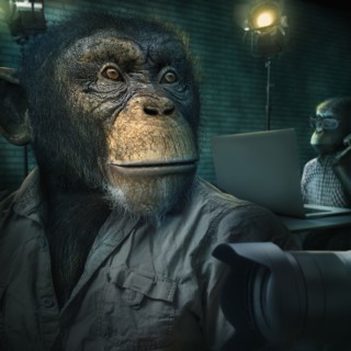 Monkey sitting near camera lens