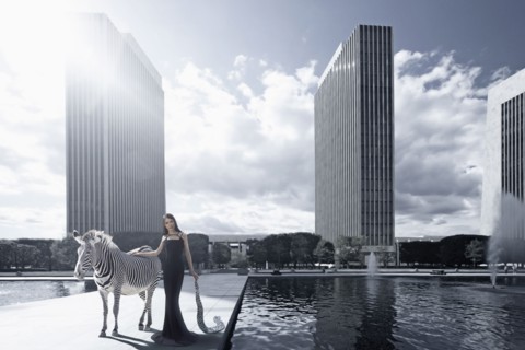 Woman and zebra in urban park