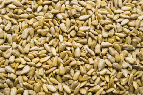 Pile of sunflower seeds