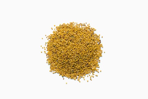 Pile of mustard seeds in shape of a circle