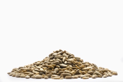 Pile of sunflower seeds