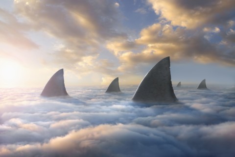 Shark fins above clouds