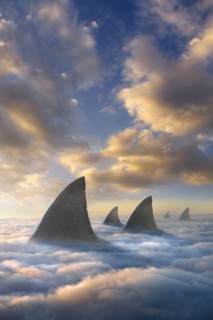 Shark fins above clouds