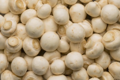 Pile of white mushrooms