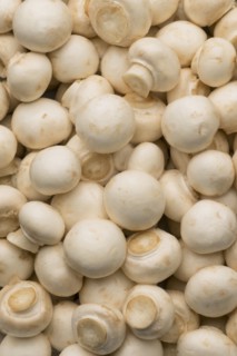 Pile of white mushrooms