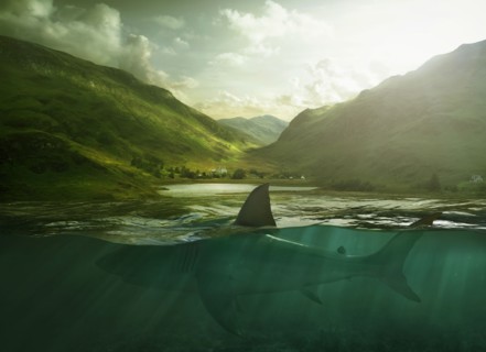 Shark swimming in lake near mountains