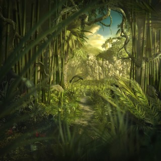 Lush green jungle