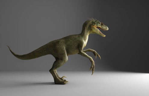 Velociraptor dinosaur standing on gray background