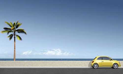 Yellow car near palm tree at ocean