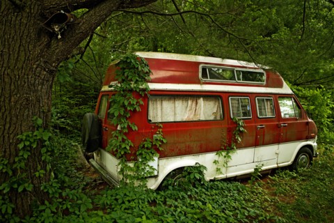Foliage growing on abandoned camper van in forest