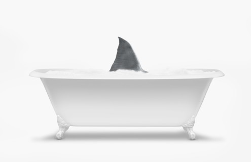 Fin of shark swimming in bathtub