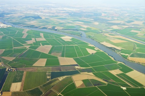 aerial view of patchwork fields