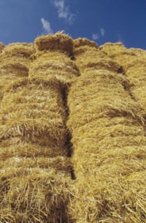 Stack of Bales of Hay