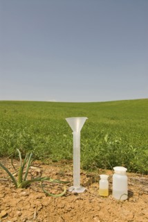 test tubes in green field