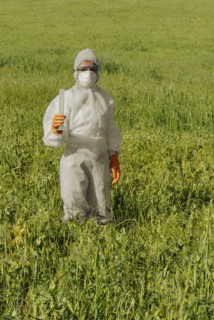 Woman in boiler suit standing in field holding test tube