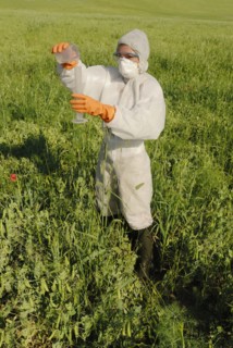 Woman in boiler suit standing in field pouring liquid into test tube